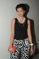Hamsa Nandhini at Attarintiki Daaredi Audio